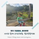 [태국 치앙마이] 엘리핀팜, 아이와 함께한 코끼리체험 반나절 투어
