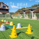 오죽헌주유소 | 강릉숙소 강릉 나인원 펜션 숙박요금 주차 교통편