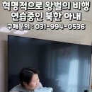 윤설미. 왕벌들의 비행 이미지