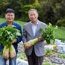 부광농산 - 평택시 서해로 1187-10 | 부광농산