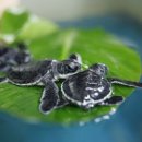 아쿠아플라넷 여수 이미지