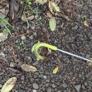 대윤목장 이미지