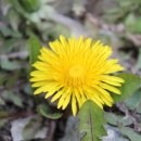 진도대교휴게소 이미지