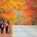 가을여행 이미지