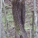 연리지농장 이미지