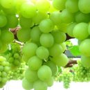 요지부동산공인중개사사무소 이미지