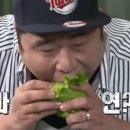 제주돈 도야지 이미지