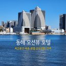 강원도 속초시청 네이버블로그