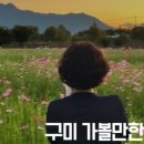 칠성체육공원 네이버블로그