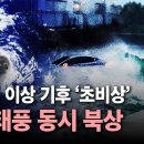 [속보] "역대급 이상 기후 '초비상' 4개 태풍 동시 북상 (22-23-24-25호 태풍) 이미지