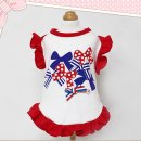 예스예스애견 이미지