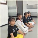 대호체육관 | 여수유아체육 불타는 열정의 대호태권도체육관 후기