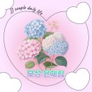 미래카3급정비 | 전남 보성 수국 명소 윤제림 방문 후기, 여름에 꼭 가볼만한 곳