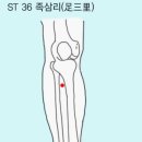 족삼리 이미지