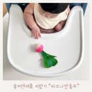 올리앤캐롤 천연소재 치발기 순무 🥕 후기