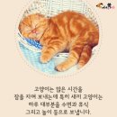 잠꾸러기 - 제천시 탑안로10길 4 | 잠꾸러기