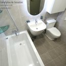 계룡(삼환) 이미지