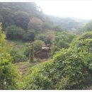 사내골농장 이미지