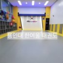 용인대 한여울 태권도장 이미지