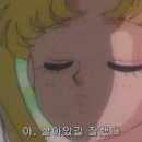 세화그때그집 이미지