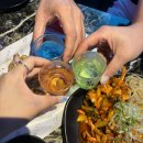 원주 단관택지 분위기 노래 안주 맛집 그놈포차 추천