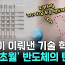 [Pick 사이언스] 상상초월 반도체의 탄생!...‘세계 최초’ 한국 연구진이 개발한 전자 피부 반도체! 보고도 안 믿기는 광경 이미지