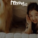 수원펫 동물병원 이미지