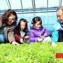 유영수 농장 이미지