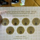 까치밥 | 피로회복의 비결, 산삼배양근 까치밥 진삼청 효과 경험 리뷰