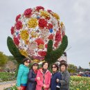 교암초등학교 이미지