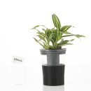 콜라보 협동조합 이미지