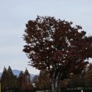 삼교리동치미막국수 안성점 이미지