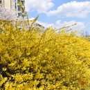 금호강3 이미지