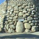 당너머흑염소 이미지