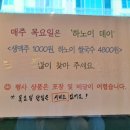 슬립인하노이 이미지