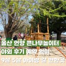 적천로 | 울산 언양 큰나무놀이터 야외 후기 | 예약 없이 9살 5살 데리고 갔다왔어요