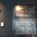 르시뜨피존 이미지