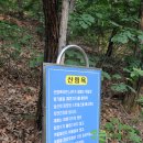 마감산산림욕장 네이버블로그