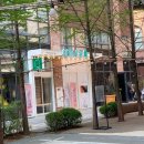 캣플헤븐 앨리웨이 광교점 이미지