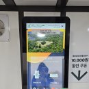 라라체험샾 | 애들데리고갈만한곳 제주 브이패스 에코랜드 테마파크 이용후기 장단점