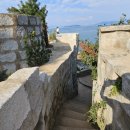 매미농장 이미지