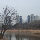 청솔환경개발 이미지
