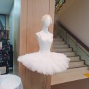 시민회관 대극장 2층 놀이방 | [발레] 국립발레단 백조의 호수 (부산시민회관 대극장 2층)