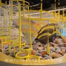 용인 키즈카페 흥덕 허니펀 키즈파크 평일 3시간 재재재방문 후기