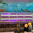 농업기술센터 본관1층 화장실 이미지