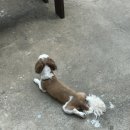 그리운자리민박 이미지