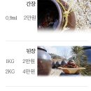 배계화의 장이야기 이미지