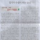교육세상