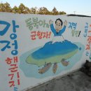 강정의례회관 Daum카페