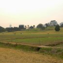 토성농장 이미지